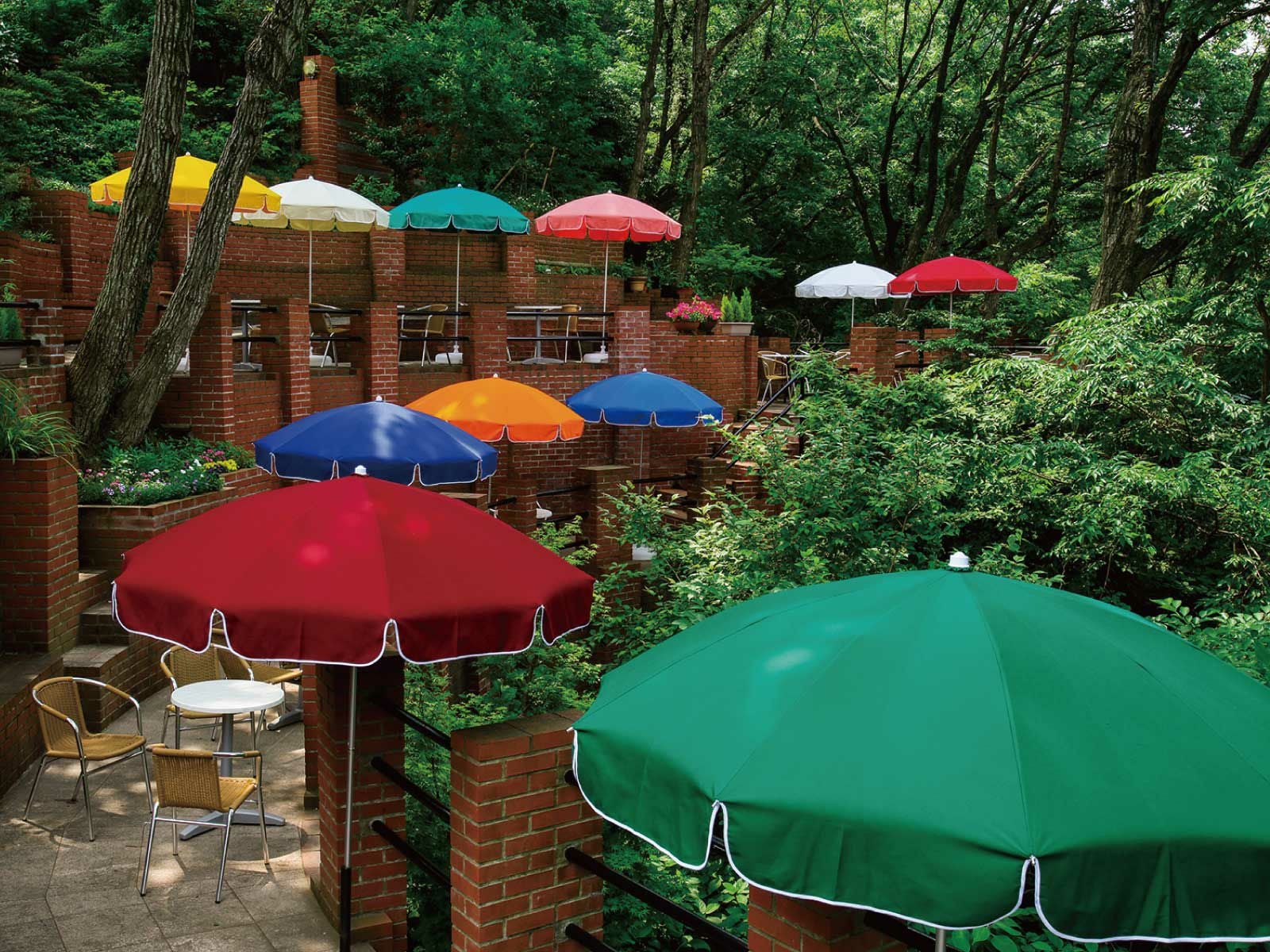 Fuji フジパラソルFP